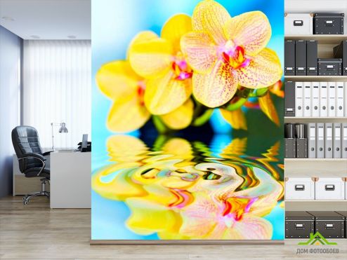 выбрать Фотошпалери Жовті орхідеї Фотошпалери Фотошпалери Квіти: блакитний на стіну