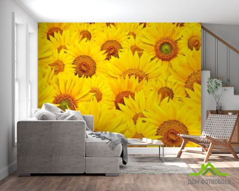выбрать Фотообои Поле из подсолнухов Фотообои Фотообои Цветы: горизонталная, горизонтальная, желтый ориентация на стену