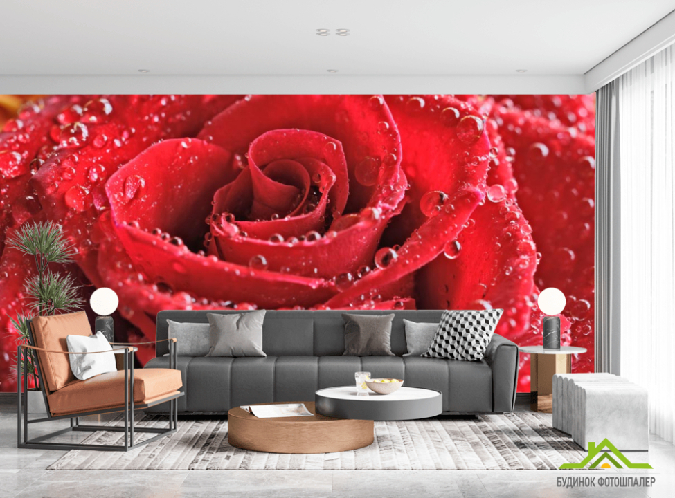 выбрать Фотообои красная роза с каплями Каталог фотообоев на стену