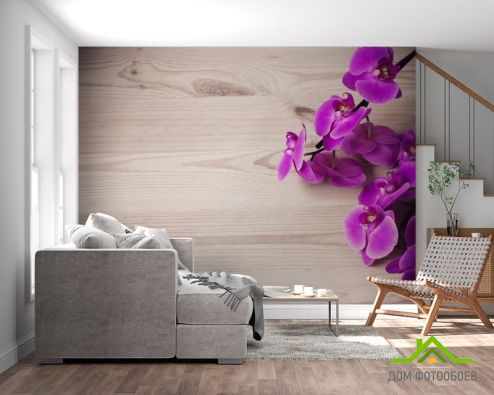 выбрать Фотошпалери фіолетова орхідея на дерев'яному тлі Фотошпалери Фотошпалери Квіти:  на стіну