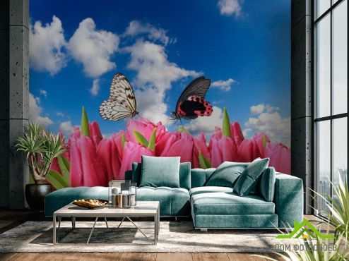 выбрать Фотошпалери Метелики і рожеві тюльпани  на стіну