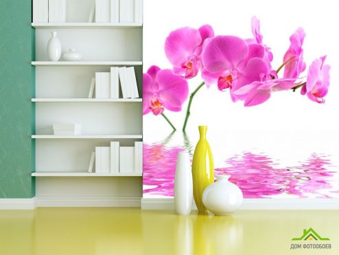 выбрать Фотообои В воде орхидеи Фотообои Фотообои Орхидеи: фото  на стену