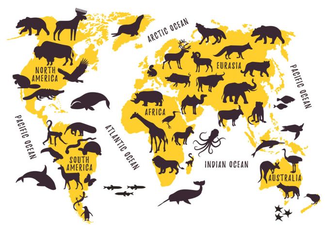 Фотошпалери Карта з тваринами
