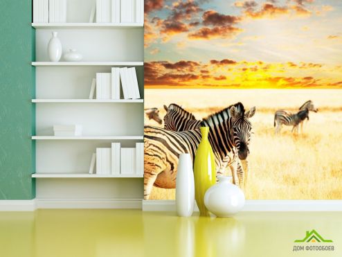 выбрать Фотообои Стадо зебр Фотообои Животные на стену