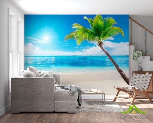 выбрать Фотообои Пляж, пальма, штиль Фотообои Фотообои Пляж: горизонталная, горизонтальная ориентация на стену