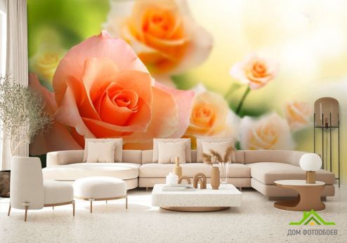 выбрать Фотошпалери Кремові трояндочки Фотошпалери, колір: «бежевий, фото» на стіну