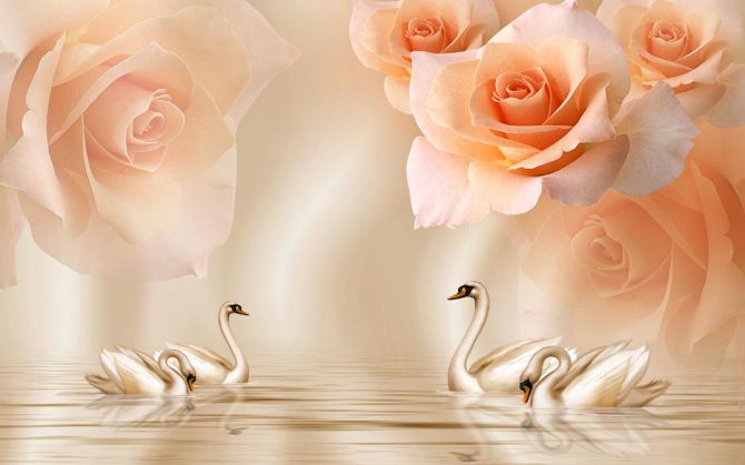 Фотошпалери Помаранчеві троянди на атласі