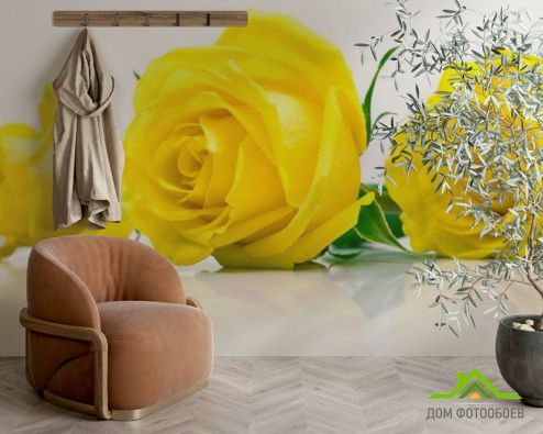выбрать Фотошпалери Троянди жовті Фотошпалери Фотошпалери Квіти: жовтий на стіну