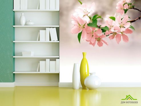 выбрать Фотообои Нежно-розовые цветки Фотообои Фотообои Цветы: фото  на стену