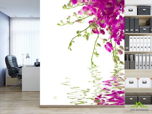 выбрать Фотообои Малиновые цветочки Фотообои, цвет: «фото» на стену