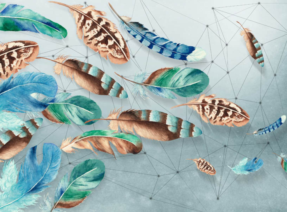 выбрать Фотошпалери Кольорові пір'я Каталог фотошпалер на стіну