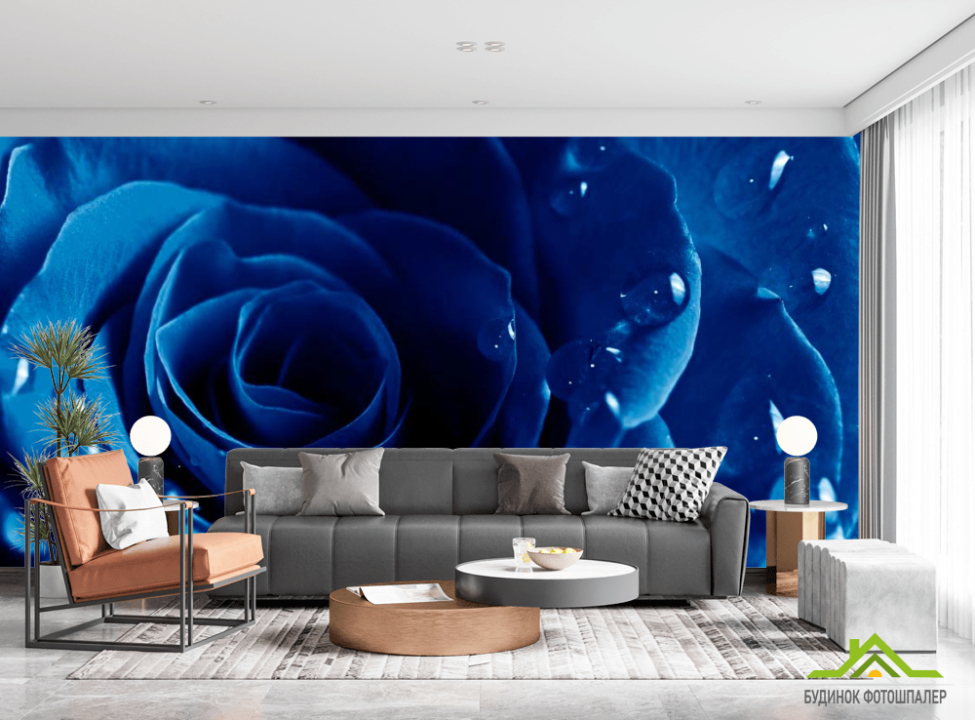 выбрать Фотообои Синяя роза с росой Каталог фотообоев на стену