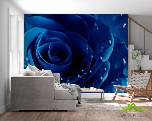 выбрать Фотообои Синяя роза с росой Фотообои Фотообои Цветы: фото  на стену