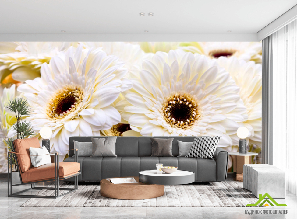 выбрать Фотообои кремовая гербера Каталог фотообоев на стену