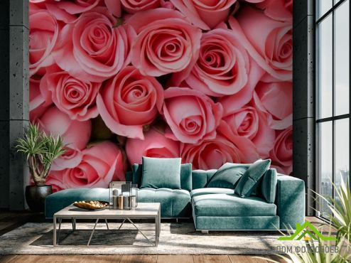 выбрать Фотообои яркие розовые розы Фотообои Розы на стену
