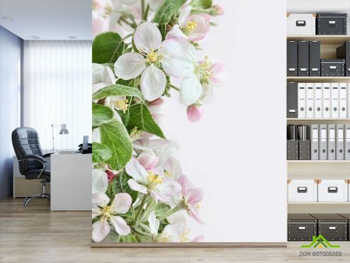 выбрать Фотошпалери біло-рожеві квіточки Фотошпалери Квіти на стіну