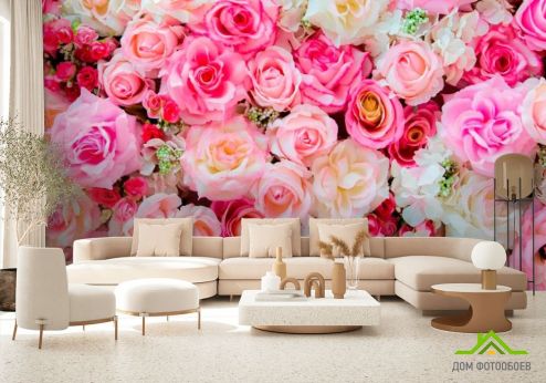 выбрать Фотообои Розы Фотообои Фотообои Цветы: картинка, розовый  на стену