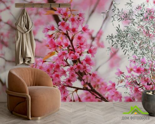 выбрать Фотообои Цветущее розовое дерево Фотообои Фотообои Цветы: горизонталная, горизонтальная ориентация на стену