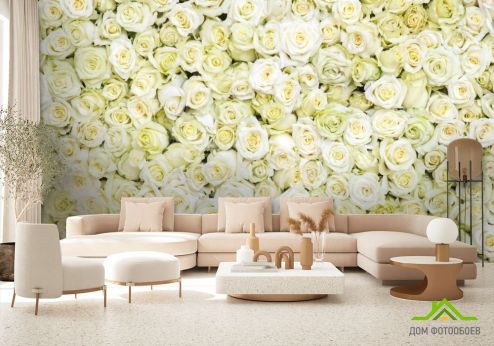 выбрать Фотошпалери море білих троянд Фотошпалери, колір: «квадратна, горизонтальна» на стіну