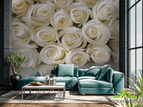 выбрать Фотошпалери Білі троянди з росою Фотошпалери Фотошпалери Квіти: квадратна, горизонтальна орієнтація на стіну