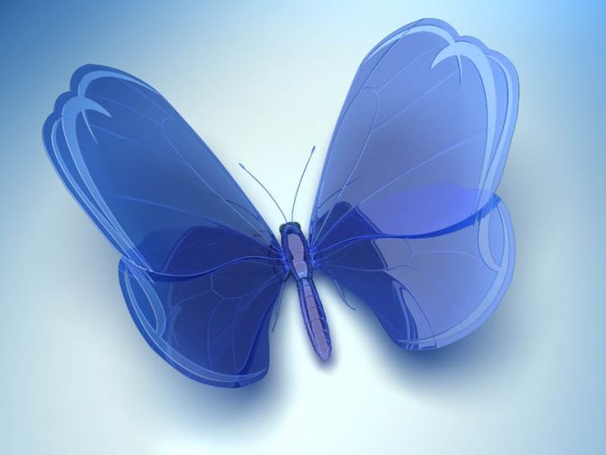 Фотообои синяя бабочка