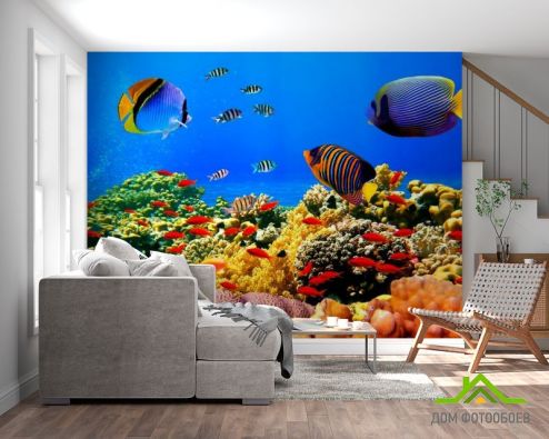 выбрать Фотообои Морское дно, рыбки Фотообои Море на стену