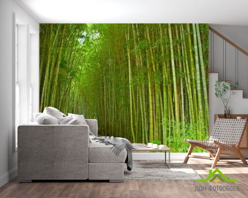 выбрать Фотообои Много бамбука Фотообои лес на стену