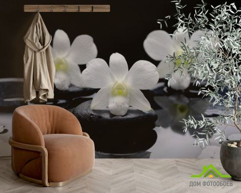 выбрать Фотошпалери Білі орхідеї на каменях Фотошпалери Фотошпалери Орхідеї: фото, чорний  на стіну