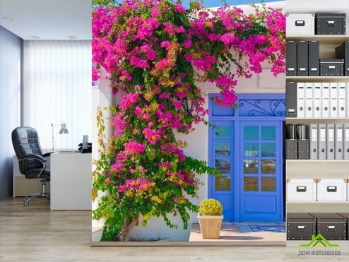 выбрать Фотообои Цветы на входе в дом Фотообои, цвет: «разноцветный, фото» на стену