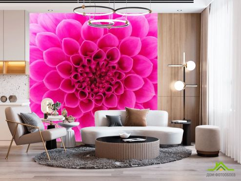 выбрать Фотообои Сотовый цветок малиновый Фотообои Цветы на стену