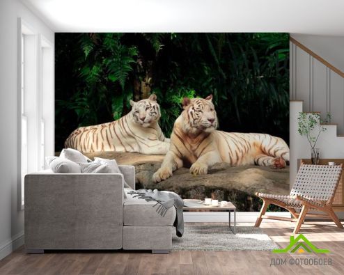 выбрать Фотообои Семейство белых тигров Фотообои Фотообои Животные: горизонталная, горизонтальная, зелений, зеленый ориентация на стену