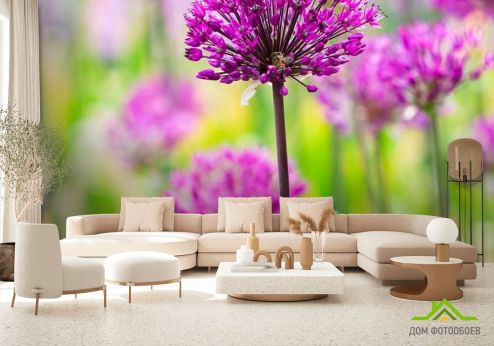 выбрать Фотошпалери Фіолетові польові квіти Фотошпалери Фотошпалери Квіти: фото, фіолетовий  на стіну