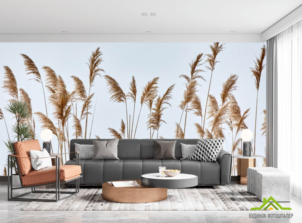 выбрать Фотошпалери сухоцвіти колоски Каталог фотошпалер на стіну