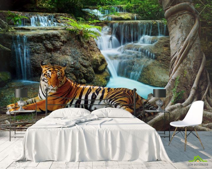 Фотообои тигр у водопада