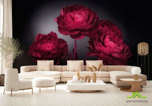 выбрать Фотообои Бордовый тюльпан Фотообои Цветы на стену