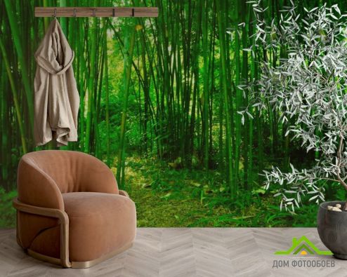 выбрать Фотообои Молодой бамбук Фотообои Фотообои Природа: горизонталная, горизонтальная ориентация на стену