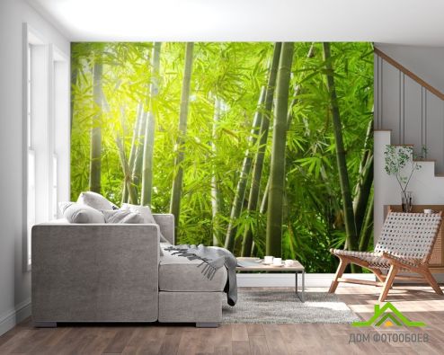 выбрать Фотообои бамбуковый лес Фотообои, цвет: «горизонталная, горизонтальная» на стену