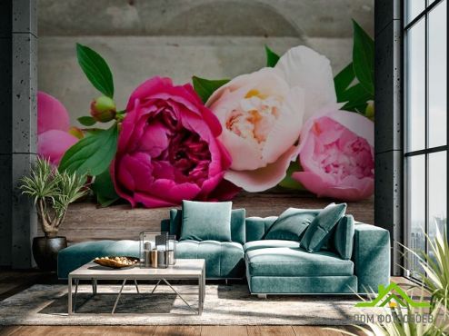 выбрать Фотообои Пионы Фотообои Фотообои Цветы: розовый на стену