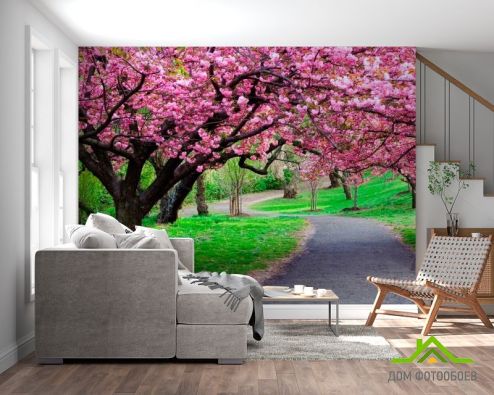 выбрать Фотообои Цветущие вишни Фотообои, цвет: «разноцветный» на стену
