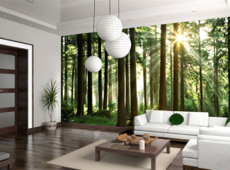 Кухня: можливості оформлення