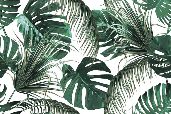 Фотообои Зелёные тропические листья