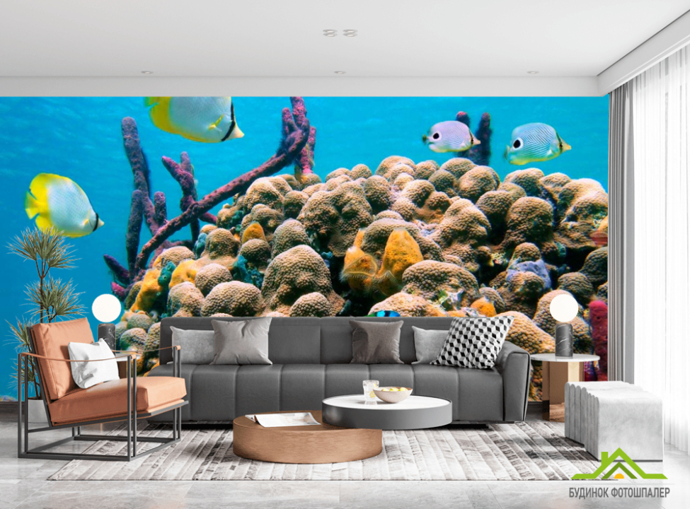 выбрать Фотошпалери Кораловий риф Каталог фотошпалер на стіну