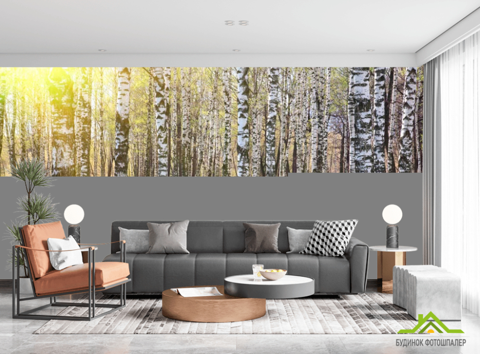 выбрать Фотошпалери Ліс, берези, сонце Фотошпалери ліс на стіну
