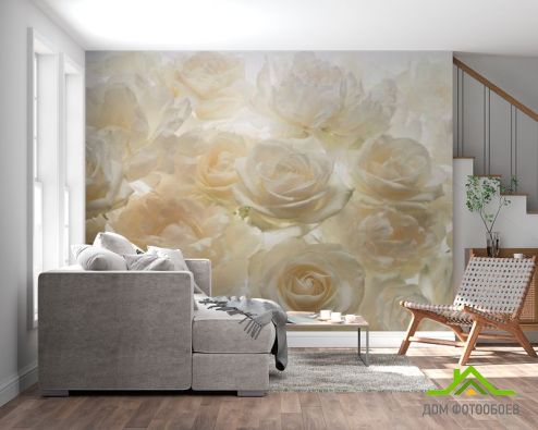 выбрать Фотообои Розы Фотообои Фотообои Цветы: рисунок на стену