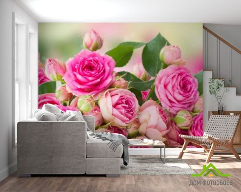 выбрать Фотообои чайная роза Фотообои Фотообои Цветы: горизонталная, горизонтальная ориентация на стену