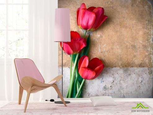 выбрать Фотообои Три красных тюльпана Фотообои Цветы на стену