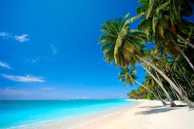 Фотошпалери Сонце, пальми, пляж