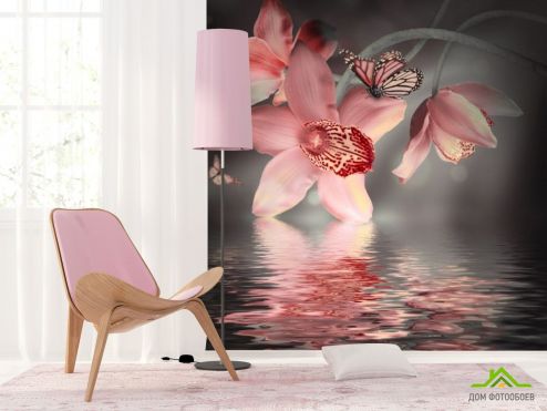 выбрать Фотообои Цветок с бабочкой Фотообои, цвет: «фото» на стену