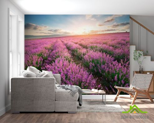 выбрать Фотообои Лавандовое поле Фиолетовые фотообои на стену