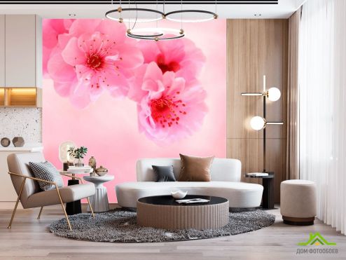 выбрать Фотообои Нежно-розовые цветы Фотообои Фотообои Цветы:  на стену